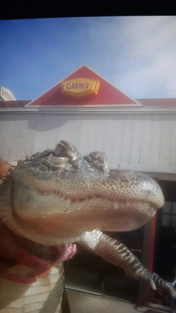 Wesley Silva_The Burger Den_Belle Vernon, PA_reseña