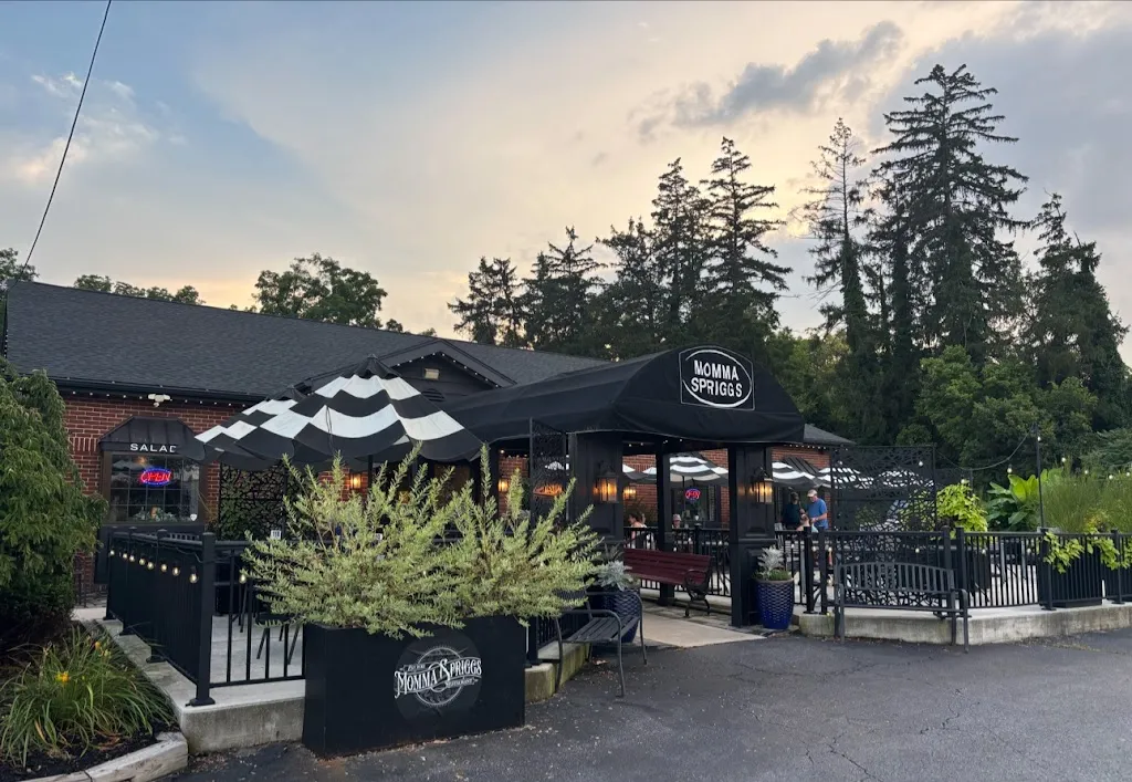 Vicky Pirozzoli_Momma Spriggs Restaurant_Carlisle, PA_recensione