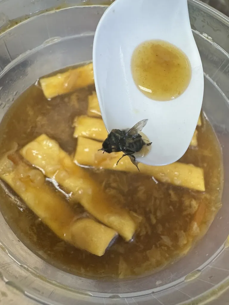 Erika Andrews_Dragon Chinese Restaurant_Verona, PA_review