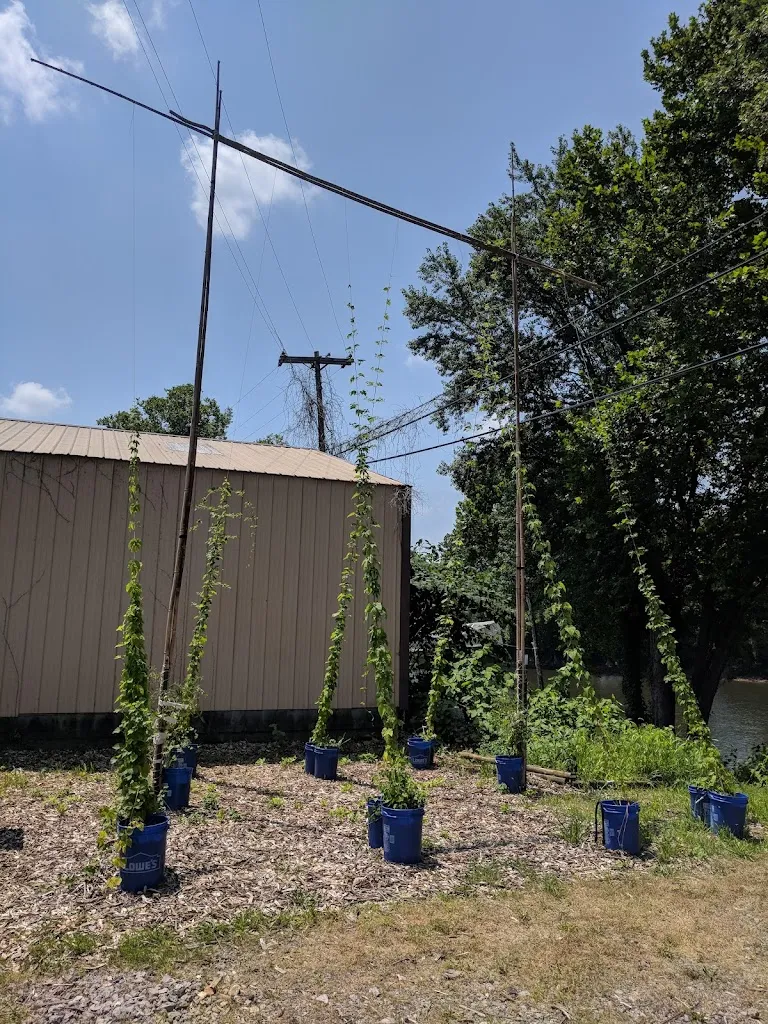 Meredith Worrall_Bloom Brew_West Newton, PA_review