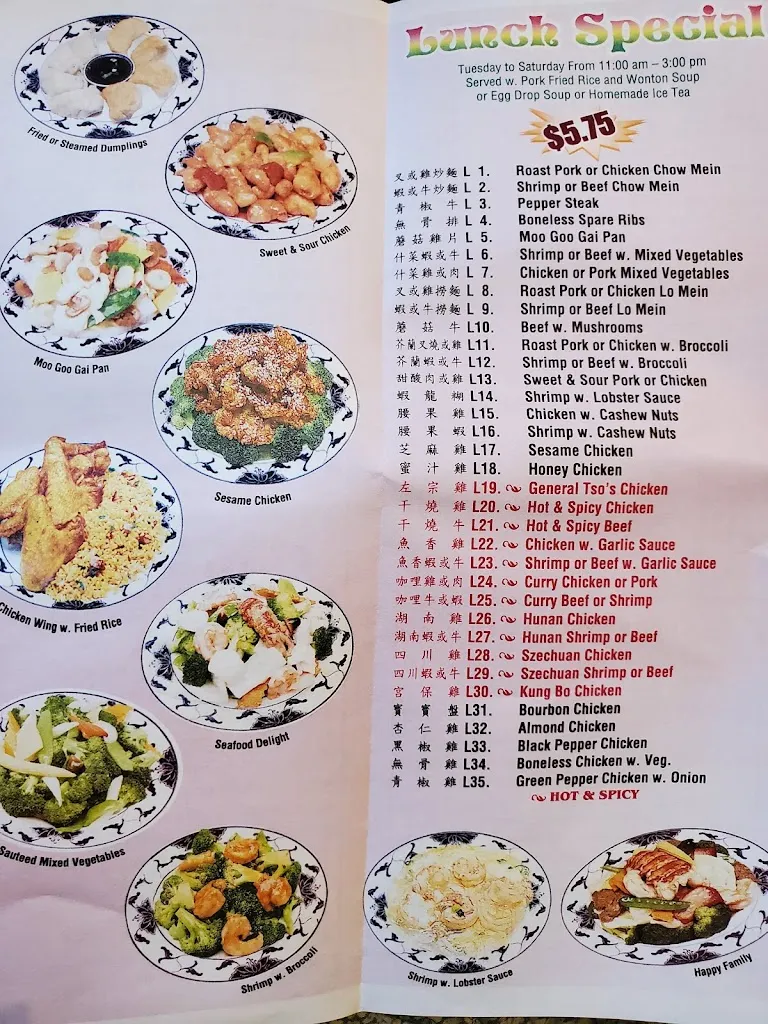 Menu_Joy Wok_Blacksburg, SC_image_old_2