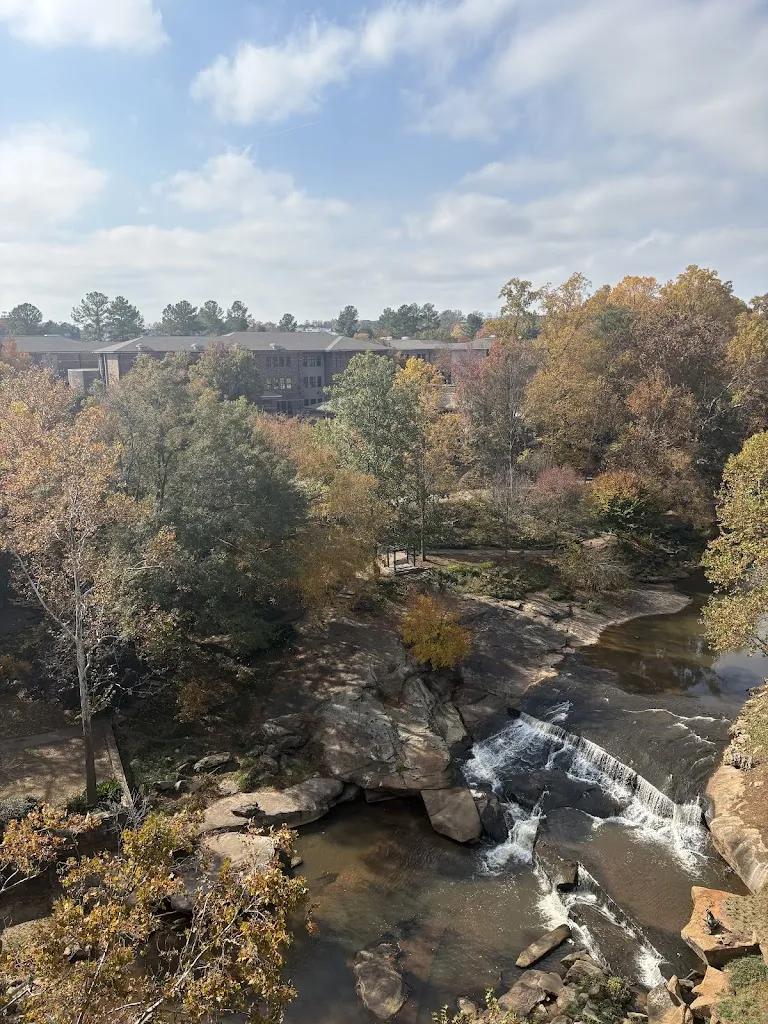 Carlton Carter_Spirit & Bower_Greenville, SC_review