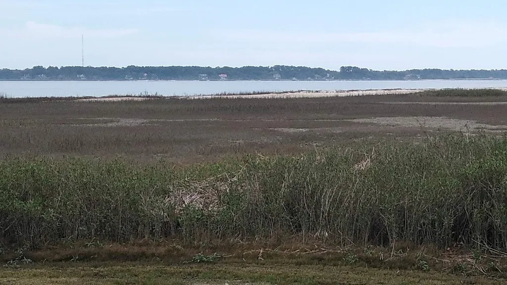 STILLbanggin_Traditions Restaurant_Beaufort, SC_review