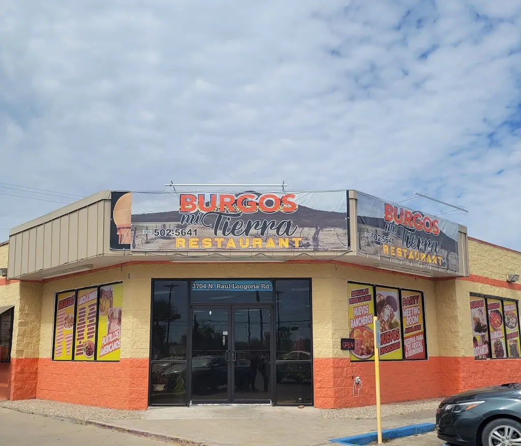 Janet Saucedo_Burgos mi tierra_San Juan, TX_reseña
