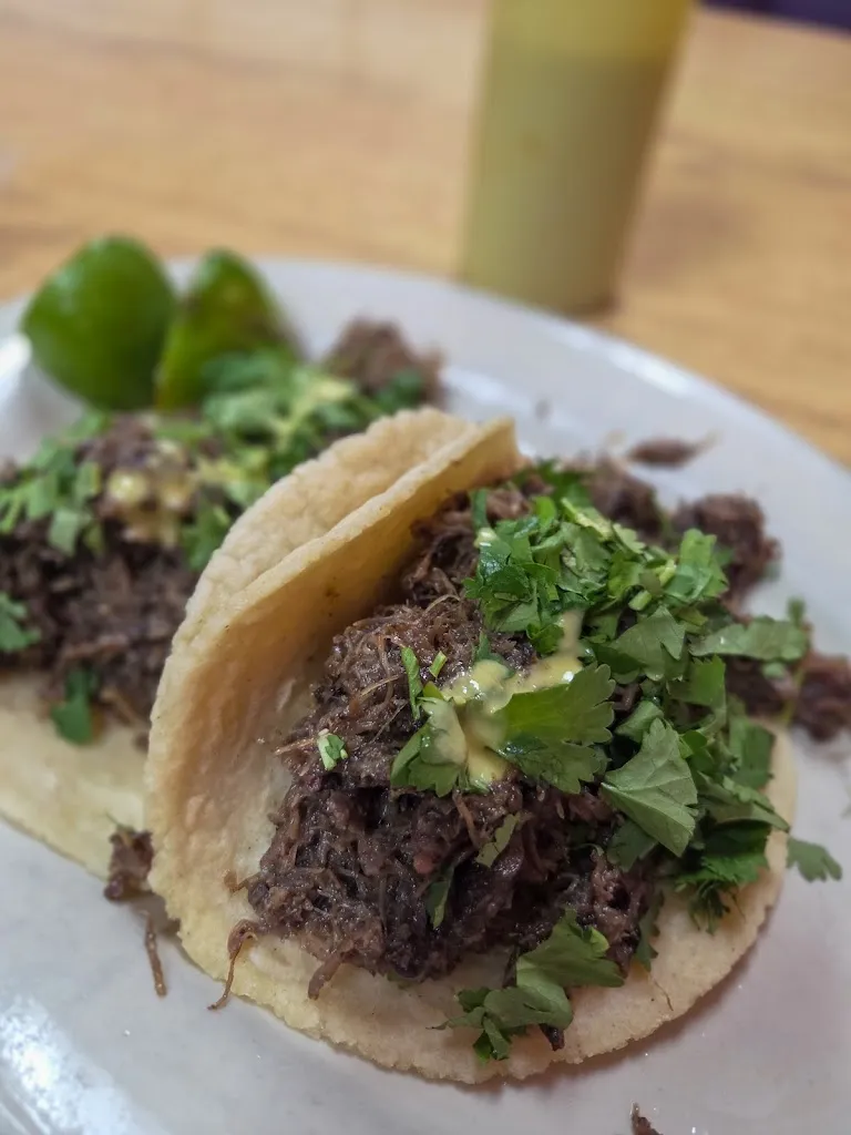 Erica Moreno_Macho Taco_Austin, TX_avis