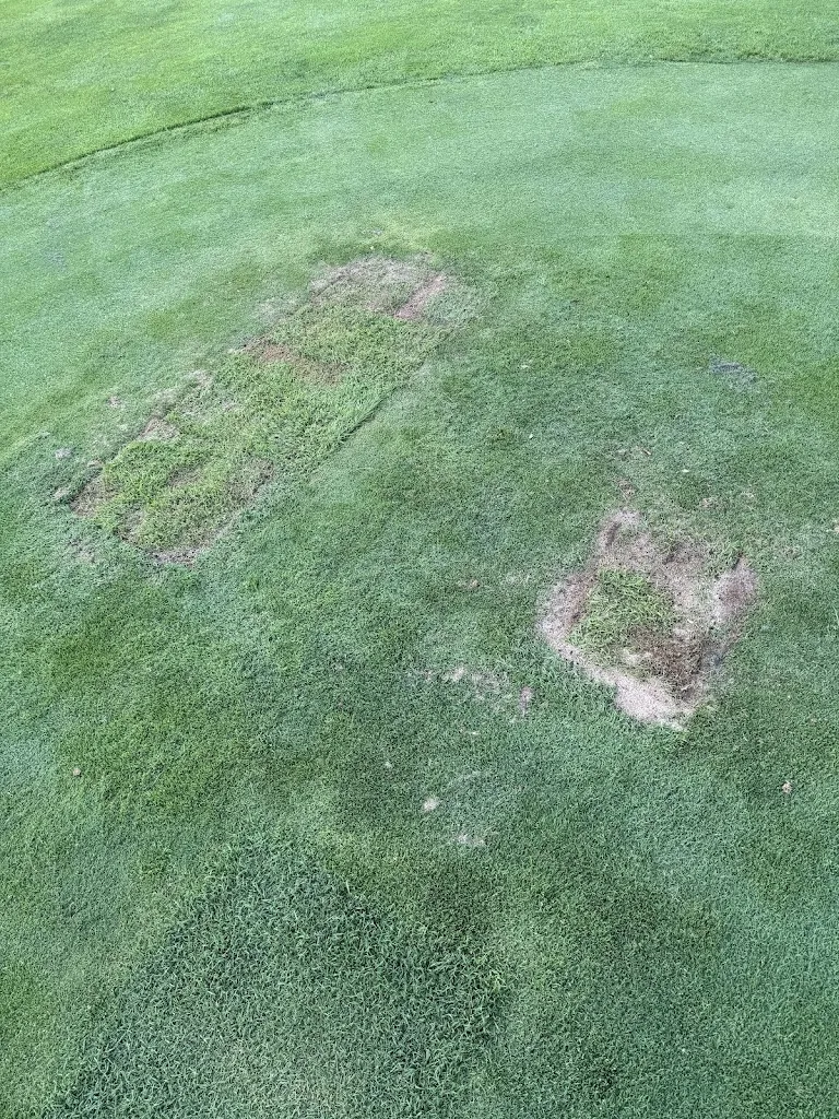 Isaac campbell_Creekside Golf Course_Lavalette, WV_review