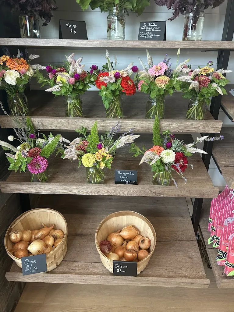 Linda Allen_Wild Thyme Cafe & Market_Land O' Lakes, FL_review