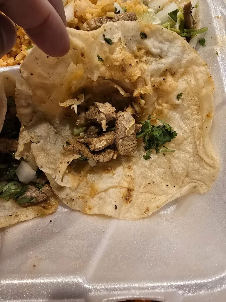 Jordan Alexander_Coyote Rojo #4_Spring Hill, FL_review