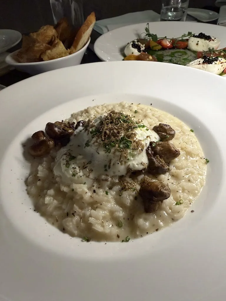 Katia Shapiro_Ponte Modern American_Tampa, FL_review