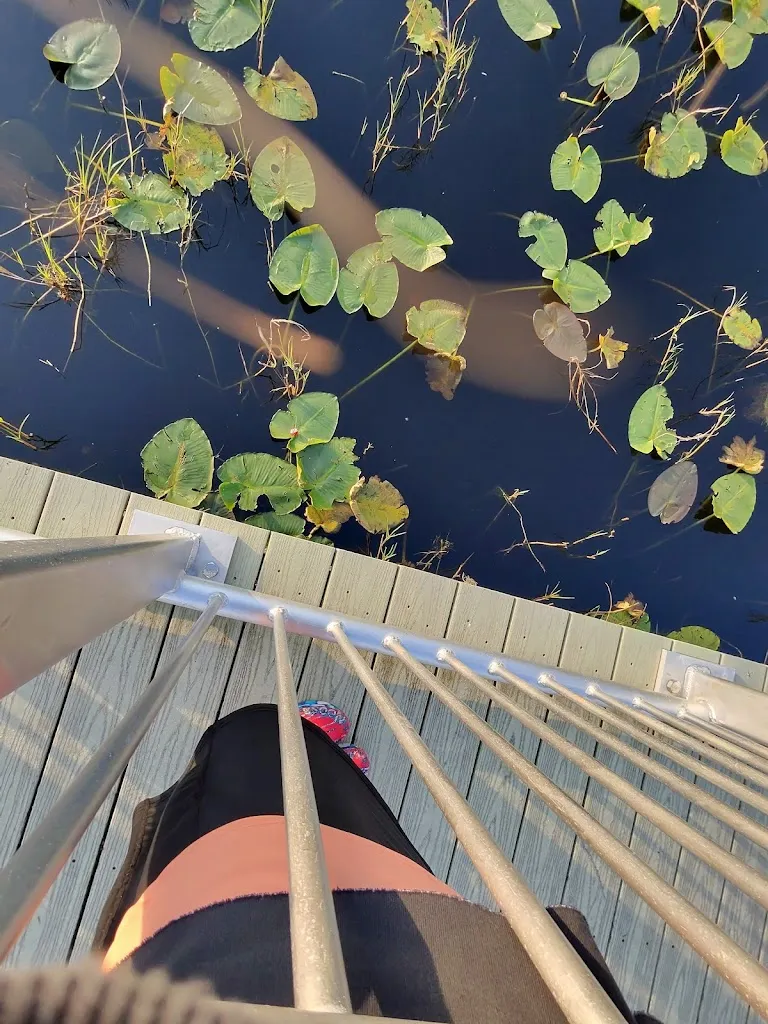 Christine Smith_Upper Deck_Spring Hill, FL_review