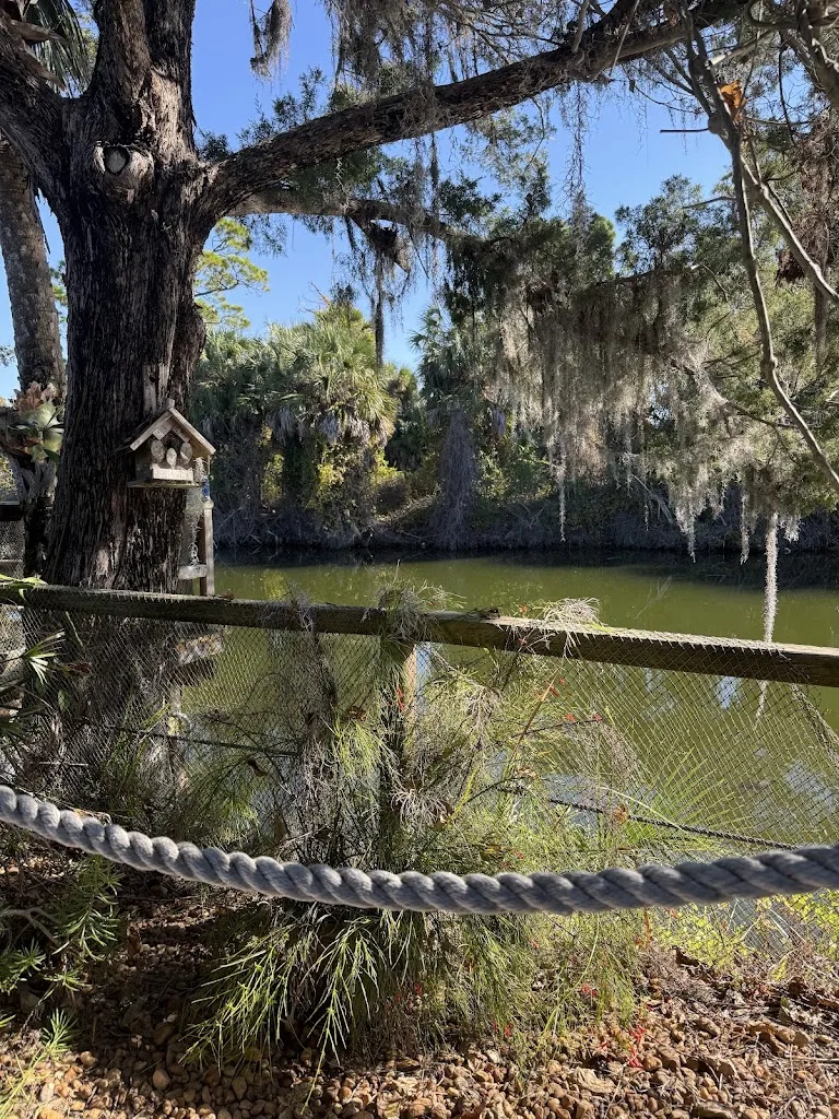 Lisy Martinez_Silver Dolphin Restaurant_Hernando Beach, FL_review
